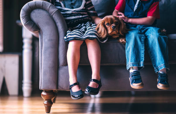 Children and dog on sofa